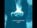 David Sanborn - Naked Moon