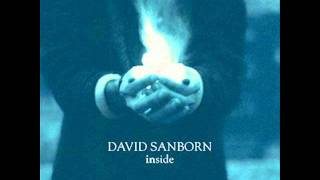 David Sanborn - Naked Moon