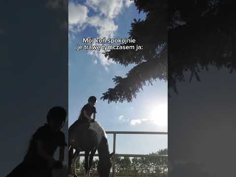 gdy masz głupawkę w stajni.#funny#horse#komedi#śmieszne#edit #konie#equestrian#jezdziectwo