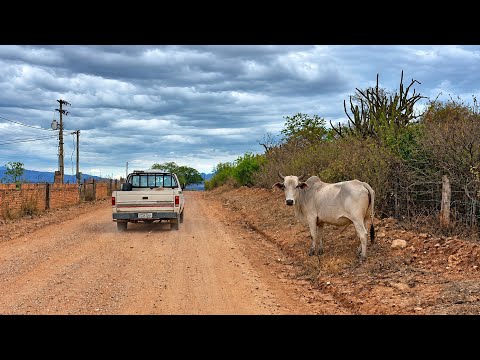 VOCÊ PRECISA VER ESSA TARDE DE RIO DO PIRES BAHIA ATÉ A VARZINHA BAHIA 