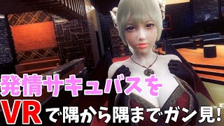 【VR】発情したサキュバスをVRでいろんな角度からガン見