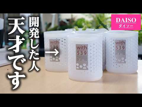 園芸 塊根藤、ジャガイモ豆