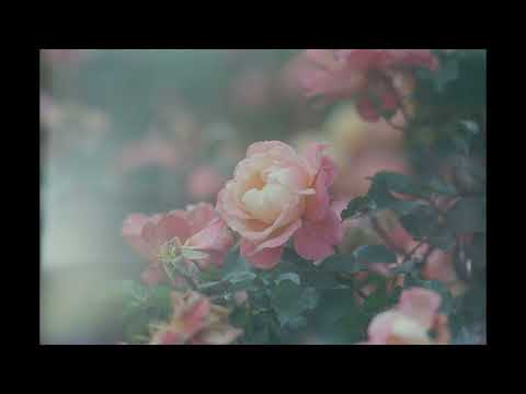 grace - nothing,nowhere/owen/midwest emo type beat [free]