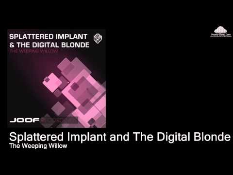 Splattered Implant and The Digital Blonde  - The Weeping Willow (Original Mix)