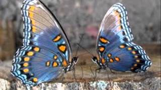 Tears - Headstrong ft. Stine Grove