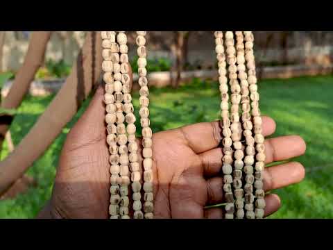 Akandha Long Shri tulsi Shringar Mala for God statues, Shaligramji video