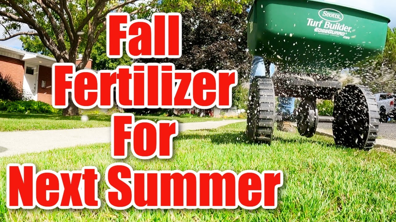 Fall Lawn Care and Maintenance in 3 Steps