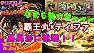 【パズドラ】どうしても裏異形勝ちたいんです【ぬま】