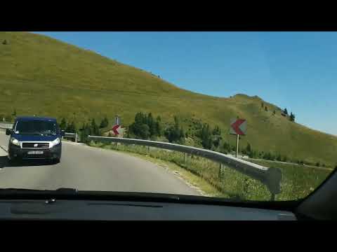 Pe TransBabele... 12 august 2023