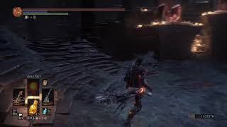 今更DARK SOULS3をはじめるオジサン達20251101