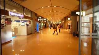 preview picture of video 'Fluginformationen - Hamburg Airport | Flughafen Hamburg Reisebüro Fella Hammelburg'
