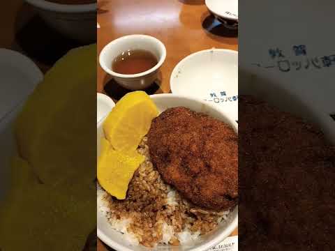 Prefectura de Fukui Tsuruga Europa Tienda Ken Chuo Puedes ir a Europa en coche sin tomar un avión 🌍