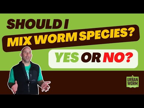 Should You Mix Species in Your Worm Bin?