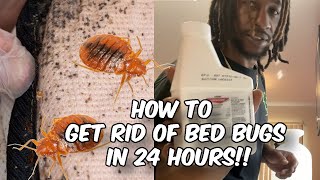 HOW TO PREVENT AND GET RID OF BED BUGS FAST | DIY PEST CONTROL