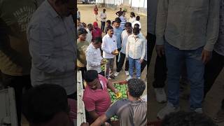 Download lagu Mango 🥭 live Action price update #mangovarieties #fruittree #mango #warangal #viral #shorts mp3