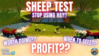 SHEEP TEST - Farming Simulator 22