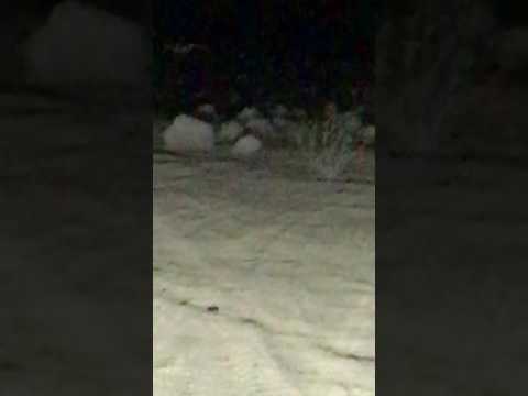 Rigid-industries  D2 & SRQ2 light review