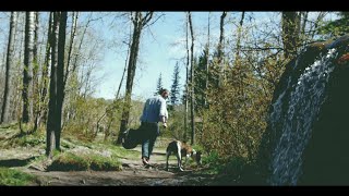 Steady Music Video