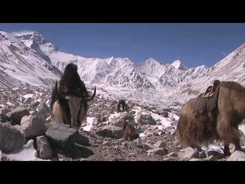 The Crafoord Prize in Geosciences 2014