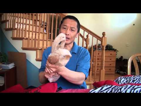 Store 1000 Plastic Bags