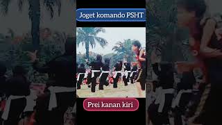 Download lagu Srikandi joget komando psht #pencaksilat #shterate #psht #punjermadiun #teratesports mp3