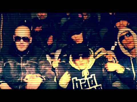 Zesau   LukkasTony    Dar dar              UNIVERSAL TRAFFIC