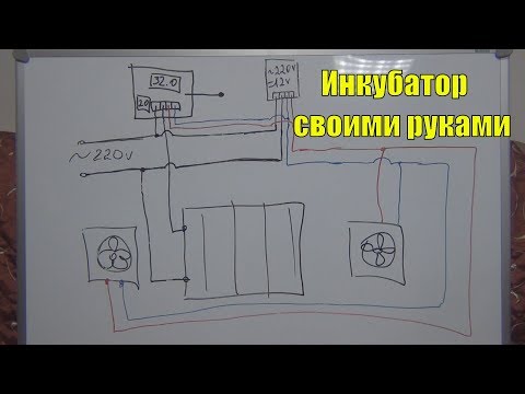 Инкубатор своими руками