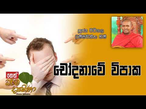 Darma Dakshina 2019.06.26 - Pitigala Dammawinitha Himi