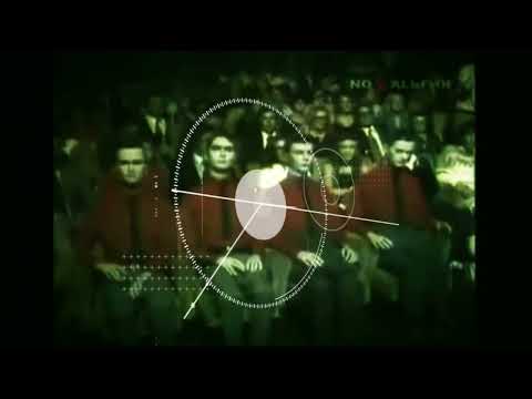 TWO FREE SYNTHS -  EXD 80 ANALOG DRUMS -AND FIREBIRD-  MAKE KRAFTWERK SOUNDS