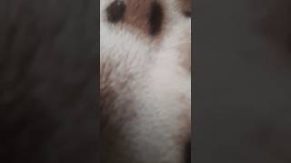 Download lagu 14 September 2024 mp3