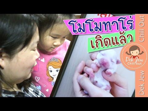 ลดลงพรูซื้อ-mail ผักกาดกับความอ่อนแอ