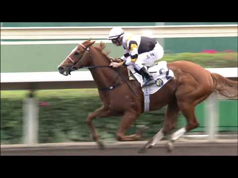 29/11/2020 (224) Czarson - Z Purton