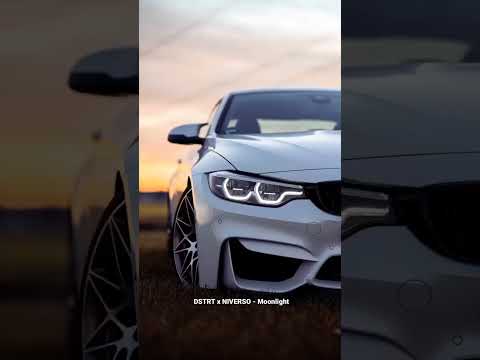 DSTRT x NIVERSO - Moonlight