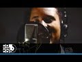 Grupo Galé - Homenaje