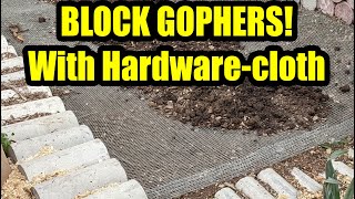 Saving the garden with hardware cloth, AKA: keeping gophers out of the garden!