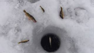 preview picture of video 'Bruce and Jay Ice Fishing 2011'
