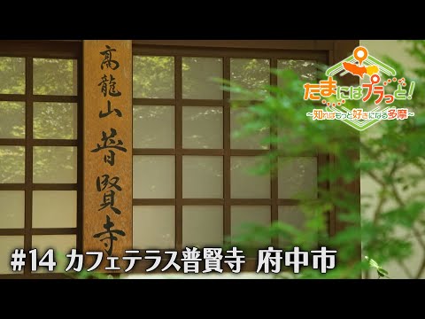 「たまにはプラっと！」　2024年7月5日放送