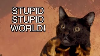 Talking Kitty Cat - ♫ Stupid Stupid World ♫