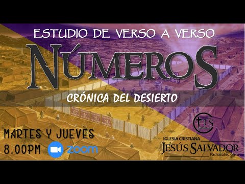 NÚMEROS DE VERSO A VERSO Cap.16:41-50