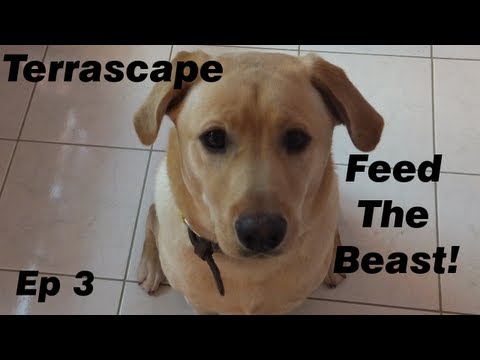 Terrascape FTB Ep 3 - Resource gathering