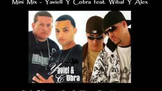 Mini Mix Yaviell Y Cobra