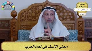 34 - معنى الأسف في لغة العرب - عثمان الخميس