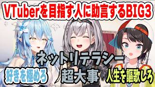 VTuberを目指している人へ トップVTuberが語る本当の近道【ホロライブ切り抜き/大空スバル/白銀ノエル/雪花ラミィ】
