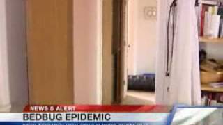 New Way to Kill Bed Bugs