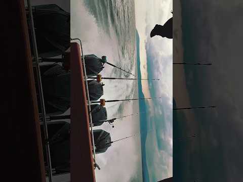 Tuna fisning #fishing
