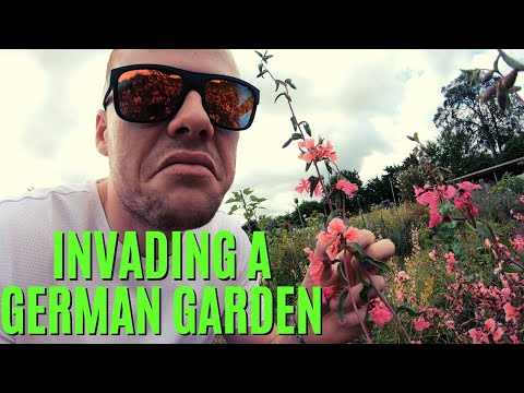 Australian INVADES German Garden ᴰᴱ