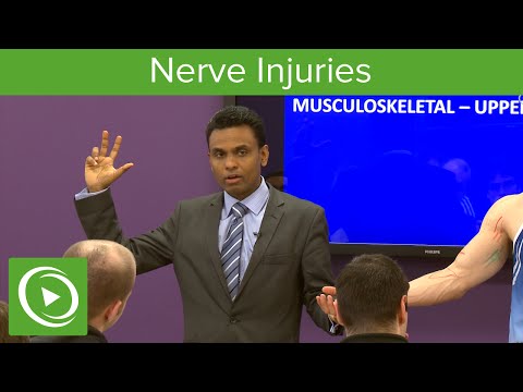 Nerve Injuries: Median Nerve – MRCS | Lecturio