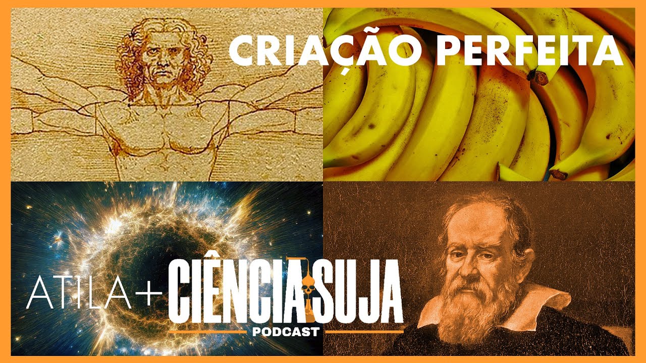 Somos a criação perfeita?