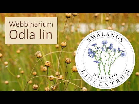 Webbinarium Odla lin 2021
