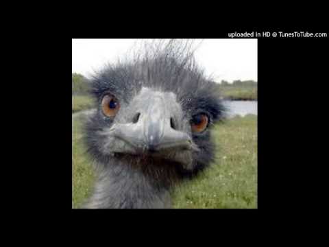 Skritcher - Ostrich Alarm (Original Mix)